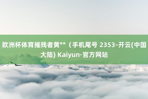 欧洲杯体育摧残者黄**（手机尾号 2353-开云(中国大陆) Kaiyun·官方网站